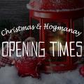 opening times 2