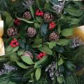 fresh holly wreath berries cones pink sprigs gold ribbon