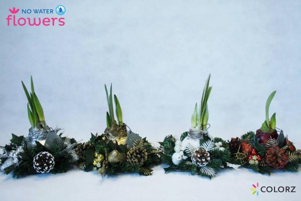 Colorz Christmas Arrangement