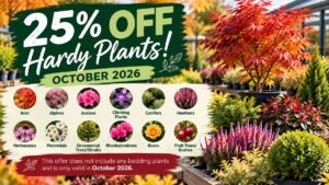 October Hardy Plants Sale Banner Parkhill