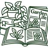 Icon - Books and Magazines